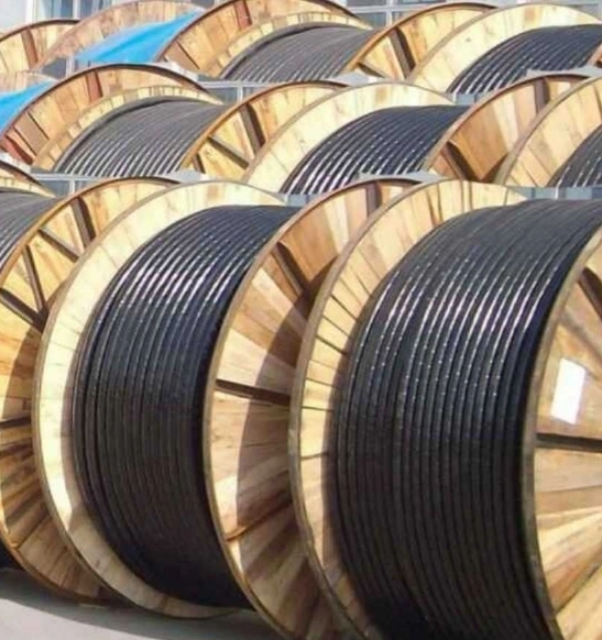 17208334619849.png 1654049910(1).png